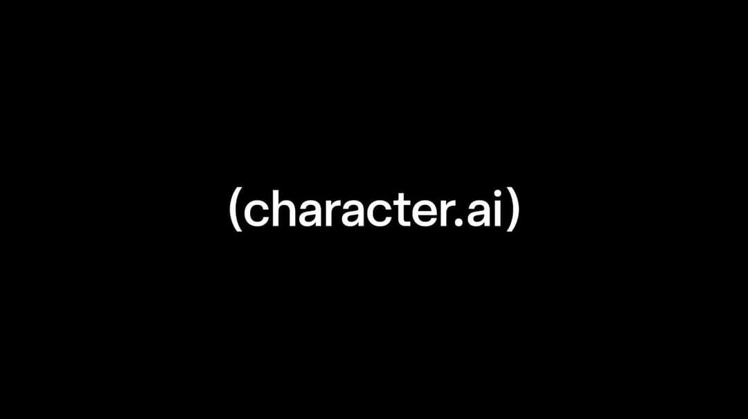 The image is a simple black and white composition. Dominating the center of the image is a white text box, containing the text "character.ai". The text box is surrounded by a black border, creating a stark contrast. The text "character.ai" is in a sans-serif font, and the text is centered within the box.