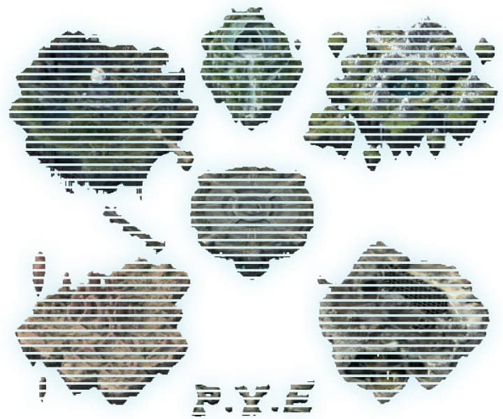 The image presents a digital illustration featuring a stylized, abstract design. The design is composed of a series of interconnected, teal-colored shapes that resemble islands or landmasses, each with a unique pattern. The shapes are outlined in black, creating a stark contrast against the teal background. The design