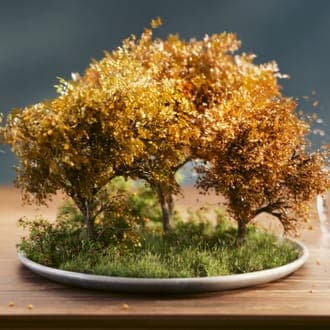 The image presents a serene scene of a bonsai tree arrangement. The centerpiece is a round, gray plate holding three miniature trees, each with a mix of yellow and orange leaves, suggesting it might be autumn. The trees are situated on a bed of green moss, providing a natural contrast to the autumnal hues. The plate is