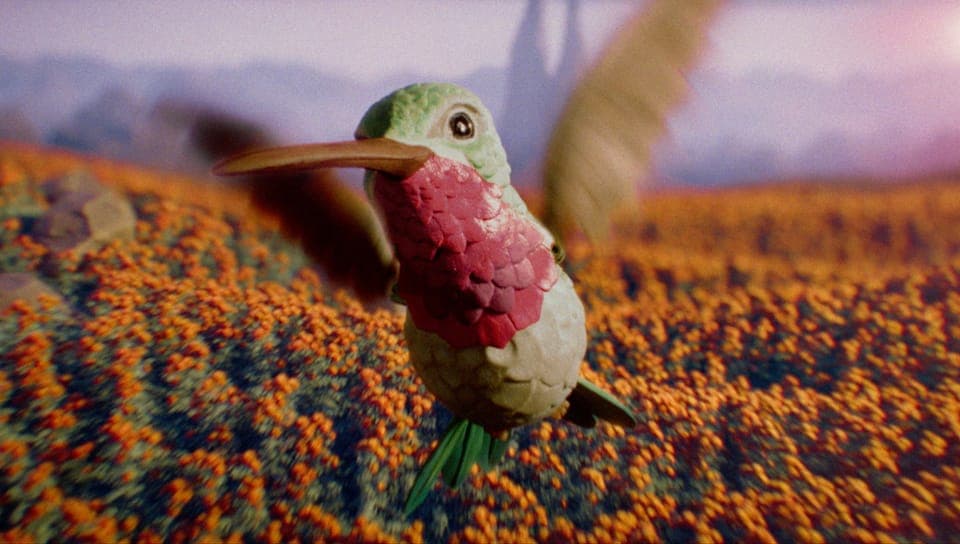 The image depicts a hummingbird in flight, hovering near a field of orange flowers. The hummingbird has a green body, a pink and red throat, and a brown beak. Its wings are spread wide, and its green tail feathers are visible. The hummingbird is positioned centrally in the frame, with the vibrant orange flowers filling