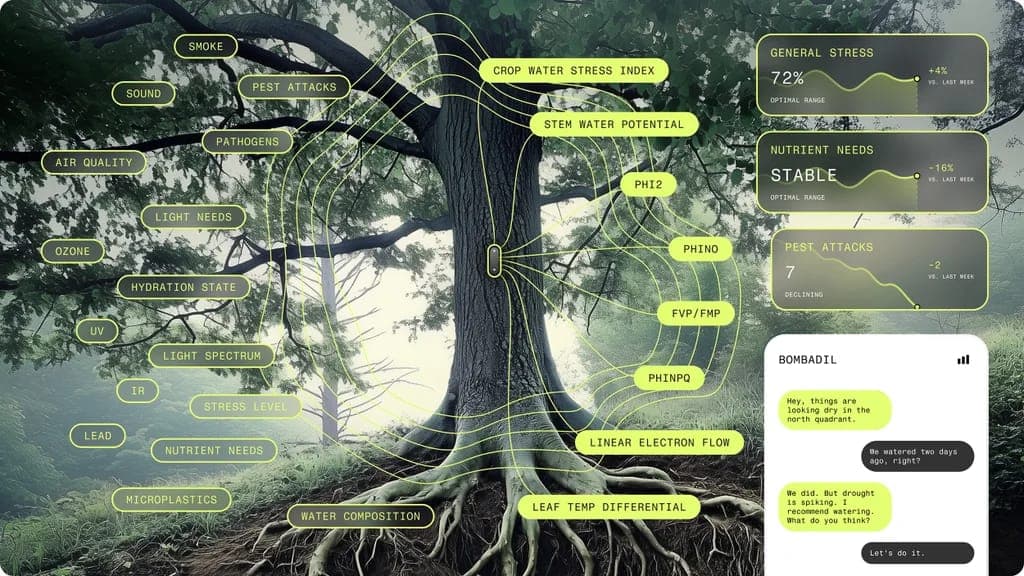 The image presents a digital interface, likely from a mobile application, featuring a large tree with a thick trunk and sprawling branches. The tree's roots are visible in the foreground, and its leaves are a mix of green and brown. The interface is designed with a light green color scheme, and it includes a variety of