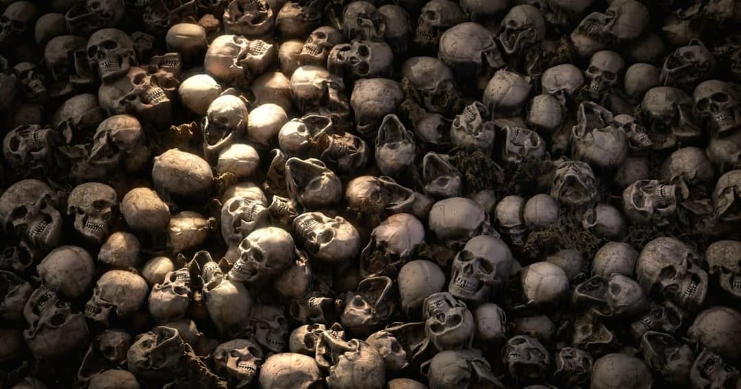 The image depicts a large collection of skulls, varying in size and shape, arranged in a seemingly random pattern. The skulls are predominantly gray and white, with some showing signs of age and decay. The lighting in the image is uneven, with some areas brighter than others, creating a sense of depth and shadow. The p