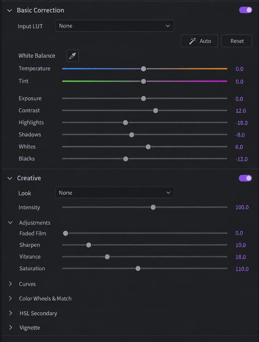 The image presents a screenshot of a software interface, likely for image editing or graphic design, with a dark gray background. The interface is divided into two sections: "Basic Correction" and "Creative". The "Basic Correction" section features a menu with options for "Input LUT", "White Balance", "Temperature", "T
