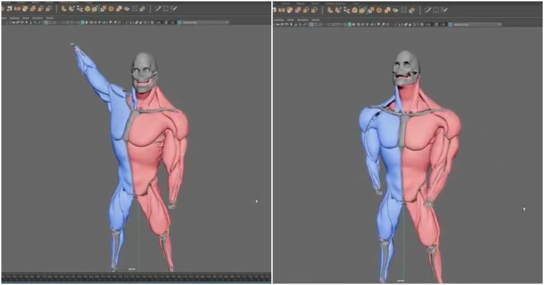 The image presents a 3D rendering of a human figure, split down the middle, with the left side in pink and the right side in blue. The figure is standing with its left arm extended upwards and its right arm bent at the elbow. The figure's head is a grayish-white color, and its facial features are simple, without any di