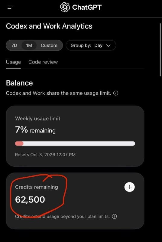 The image shows a screenshot of the ChatGPT app on a smartphone. The app's interface is primarily black and white, with a dark gray background. The top of the screen displays the app's name, "ChatGPT", in a white font. Below the name, the app's description, "Codex and Work Analytics", is written in a smaller white font