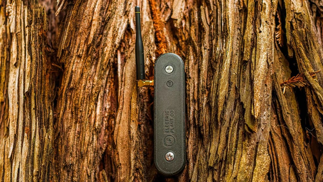 The image shows a black rectangular device with a curved top and two small circular holes, mounted on a tree trunk. The device has a small antenna protruding from the top and a small gold-colored connector near the bottom. The text "ELECTRIC PLANET CO" is visible on the device. The tree trunk is primarily brown and tan