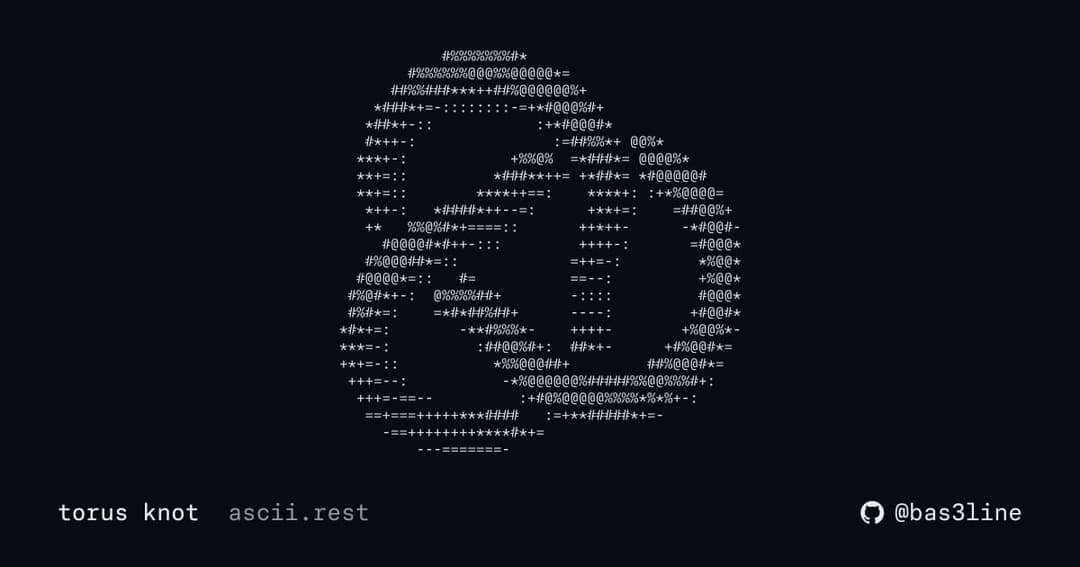 The image presents a digital art piece composed of a repeating pattern of small white dots and asterisks. The dots and asterisks are arranged in a way that forms the letters "R" and "D", respectively, and are arranged in a diagonal line. The background of the image is a dark blue color. The text "torus knot ascii.rest"