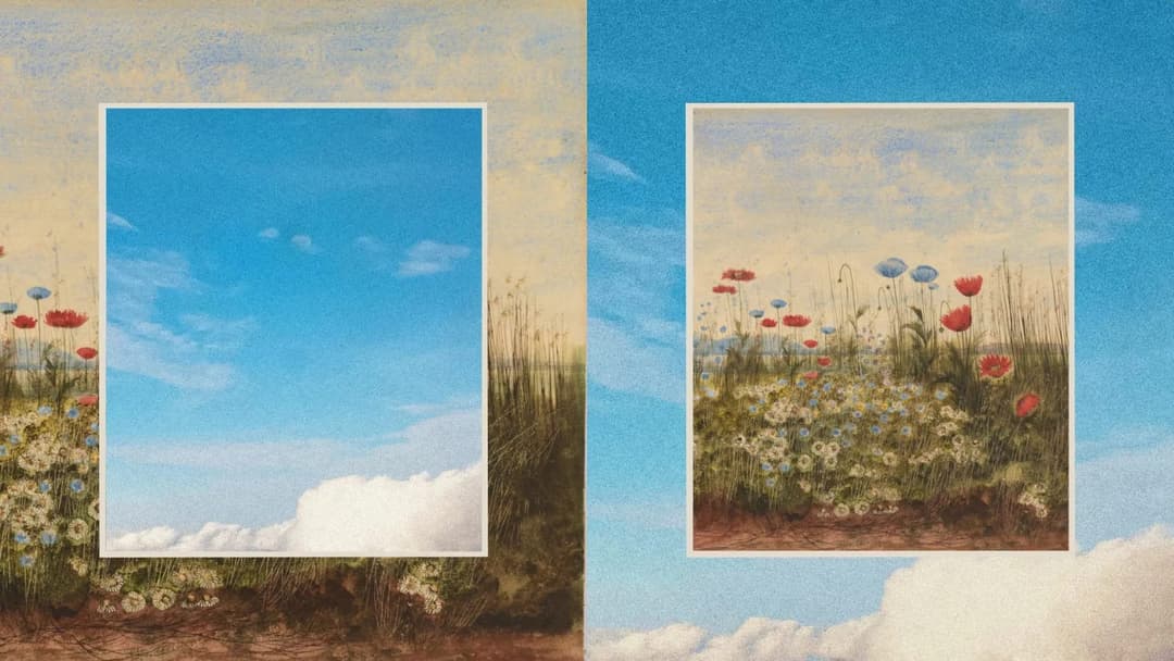 The image is a collage composed of two distinct panels, each featuring a vibrant field of flowers and grasses against a backdrop of a blue sky with fluffy white clouds. The left panel shows a field of flowers with red, white, and blue flowers, along with tall grasses, set against a blue sky with white clouds. The right