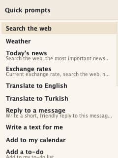The image shows a mobile phone screen displaying a list of quick prompts. The top of the screen shows the text "Quick prompts". Below this, the main part of the screen displays a list of prompts, including "Weather", "Today's news", "Exchange rates", "Translate to English", "Translate to Turkish", "Reply to a message",